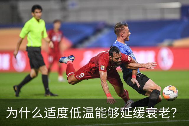 为什么适度低温能够延缓衰老？