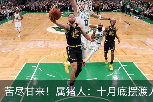 苦尽甘来！属猪人：十月底"摆渡人"悄然降临
