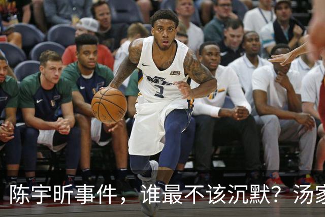 陈宇昕事件，谁最不该沉默？汤家凤博士一语戳中软肋
